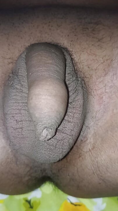How Male Penis is Getting Ready For Sex. Masturbation Stage in Slowly Growing Penis.