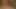 Shy Amateur Blonde College Girl on Girls Gone Wild