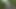 Cheating Outdoor With A Stranger Girl In The Cornfield And Cumming On Her Big Ass